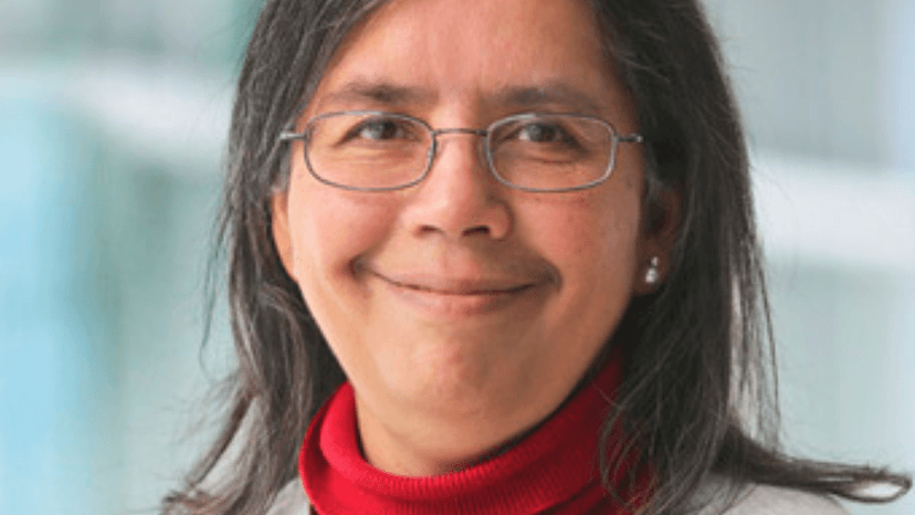 Emergent Elasticity in Amorphous Solids
